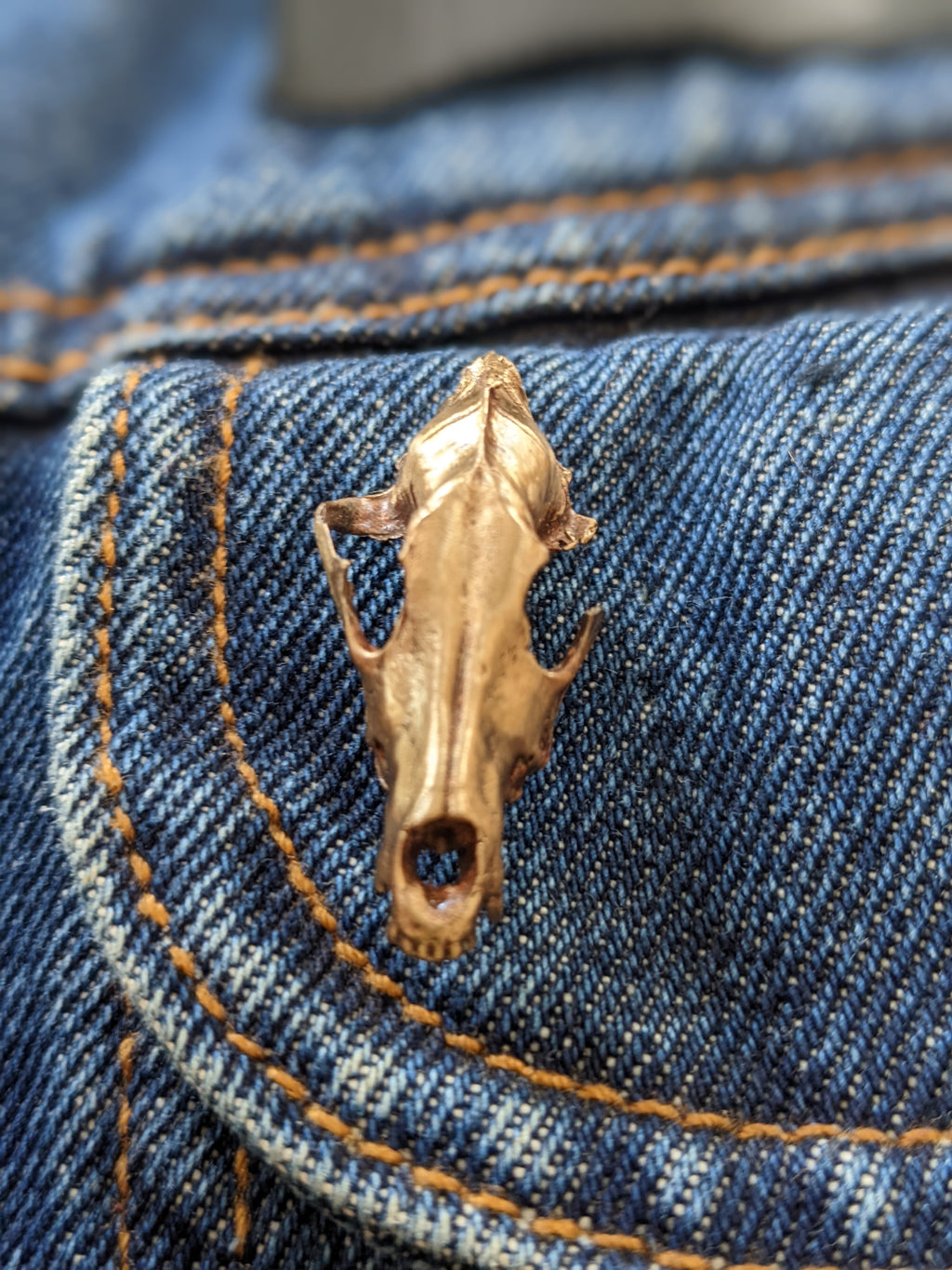 Bronze Coyote Skull