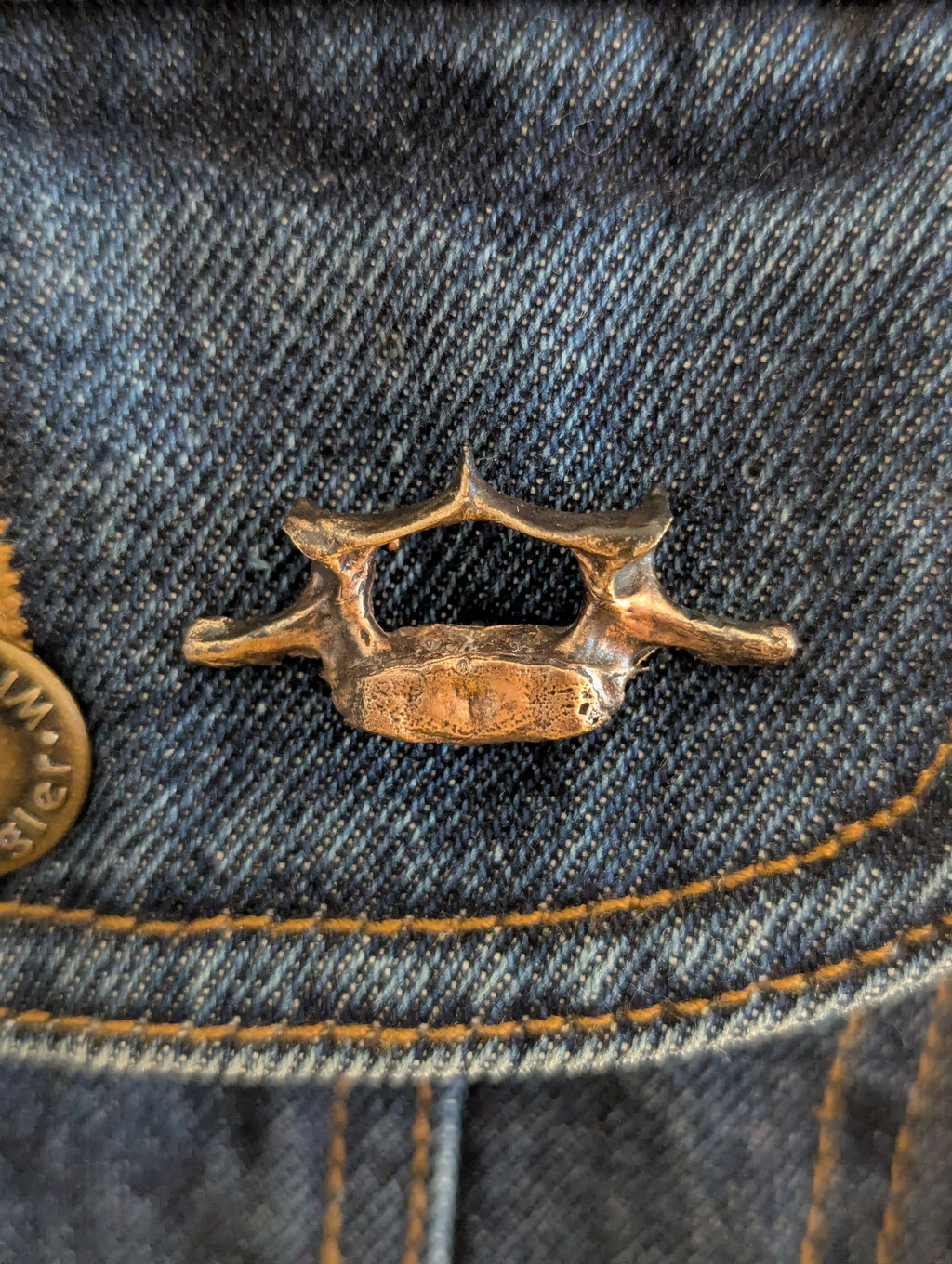 Bronze Beaver vertebrae 