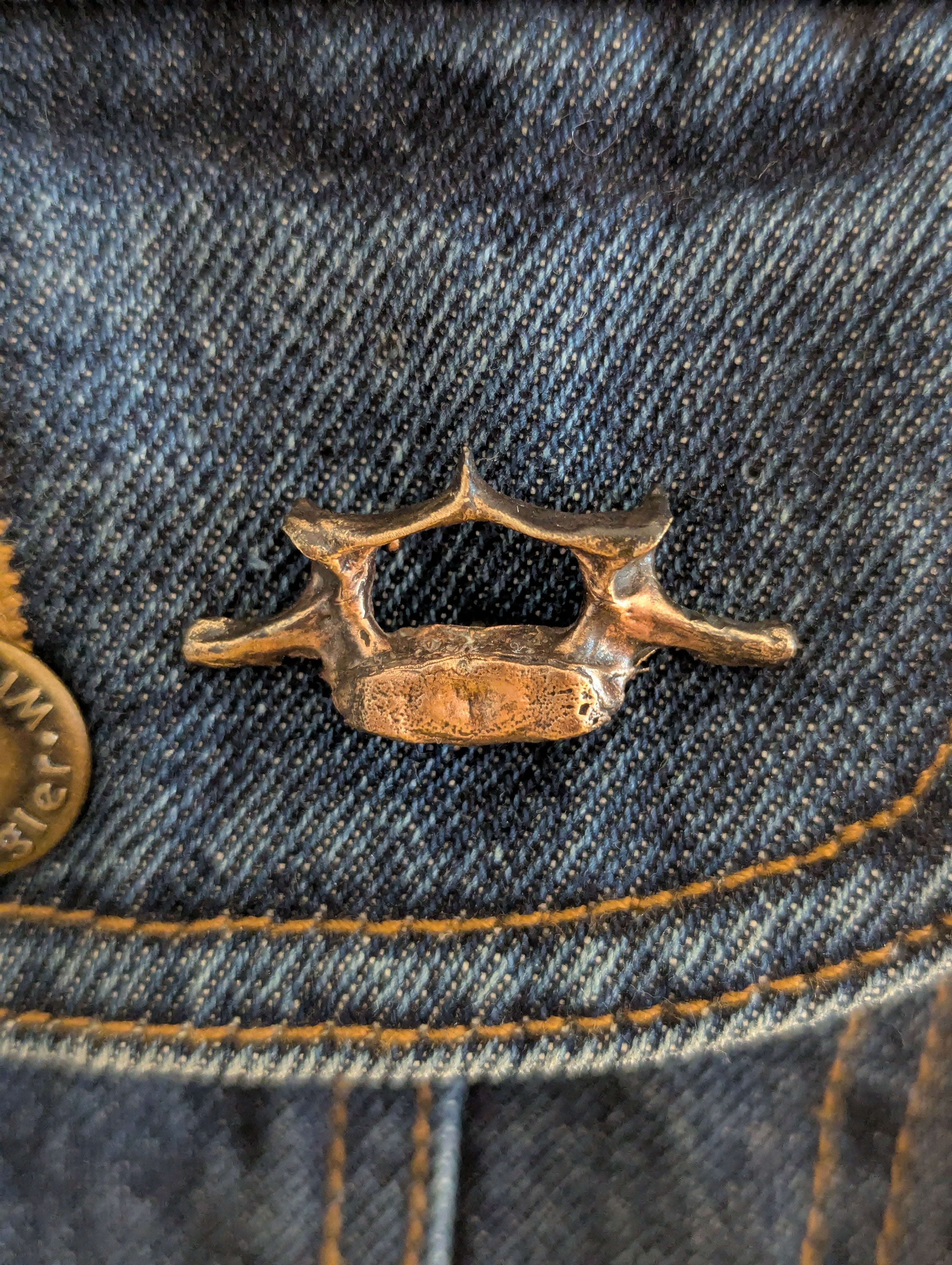 Bronze Beaver vertebrae 