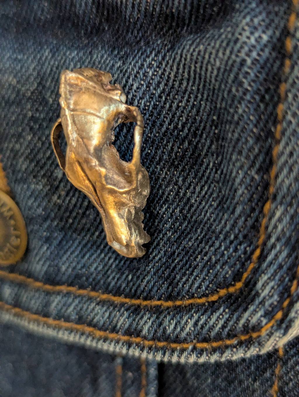 Bronze Coyote Skull