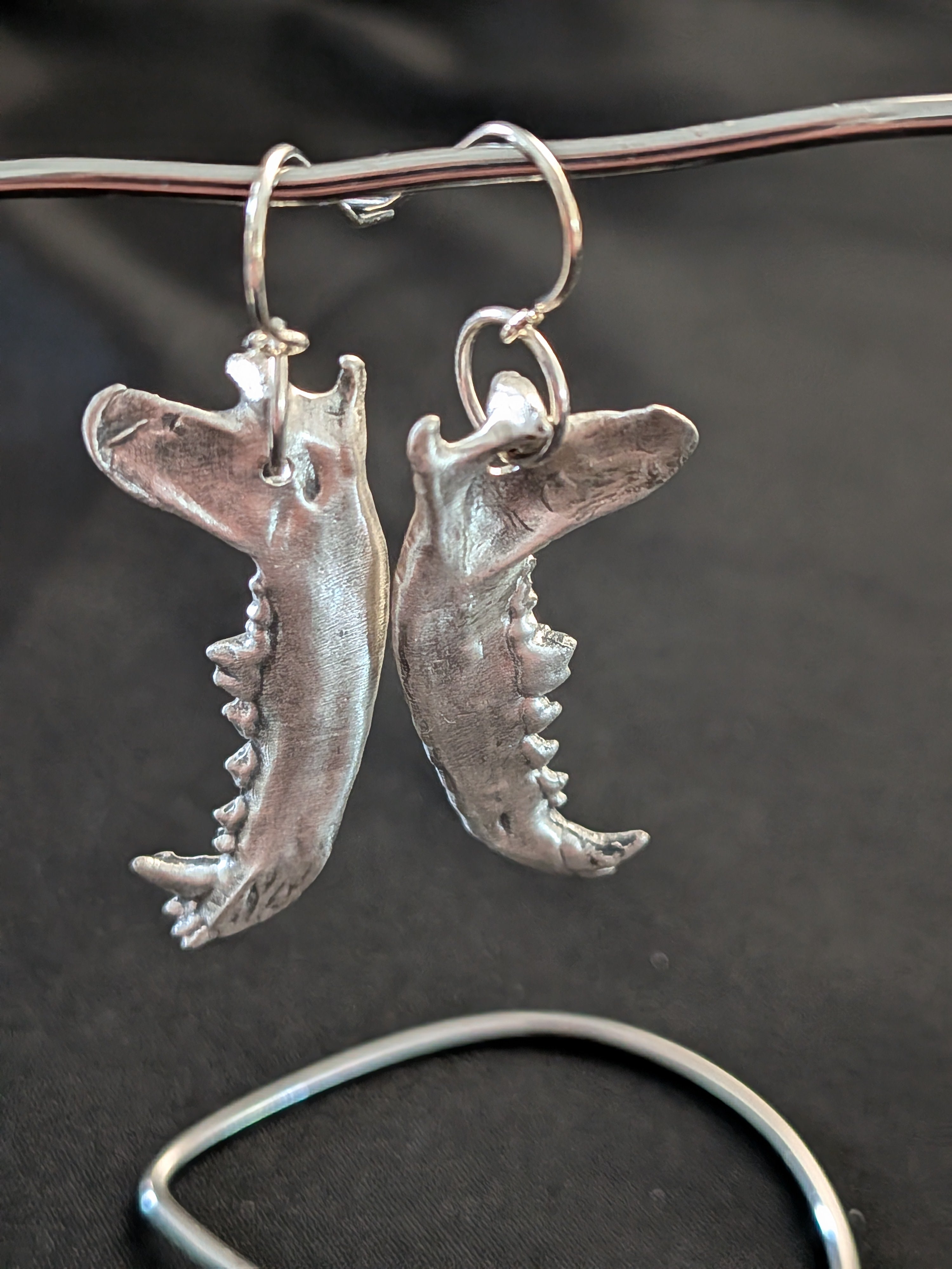 Coyote Jawbone Earrings