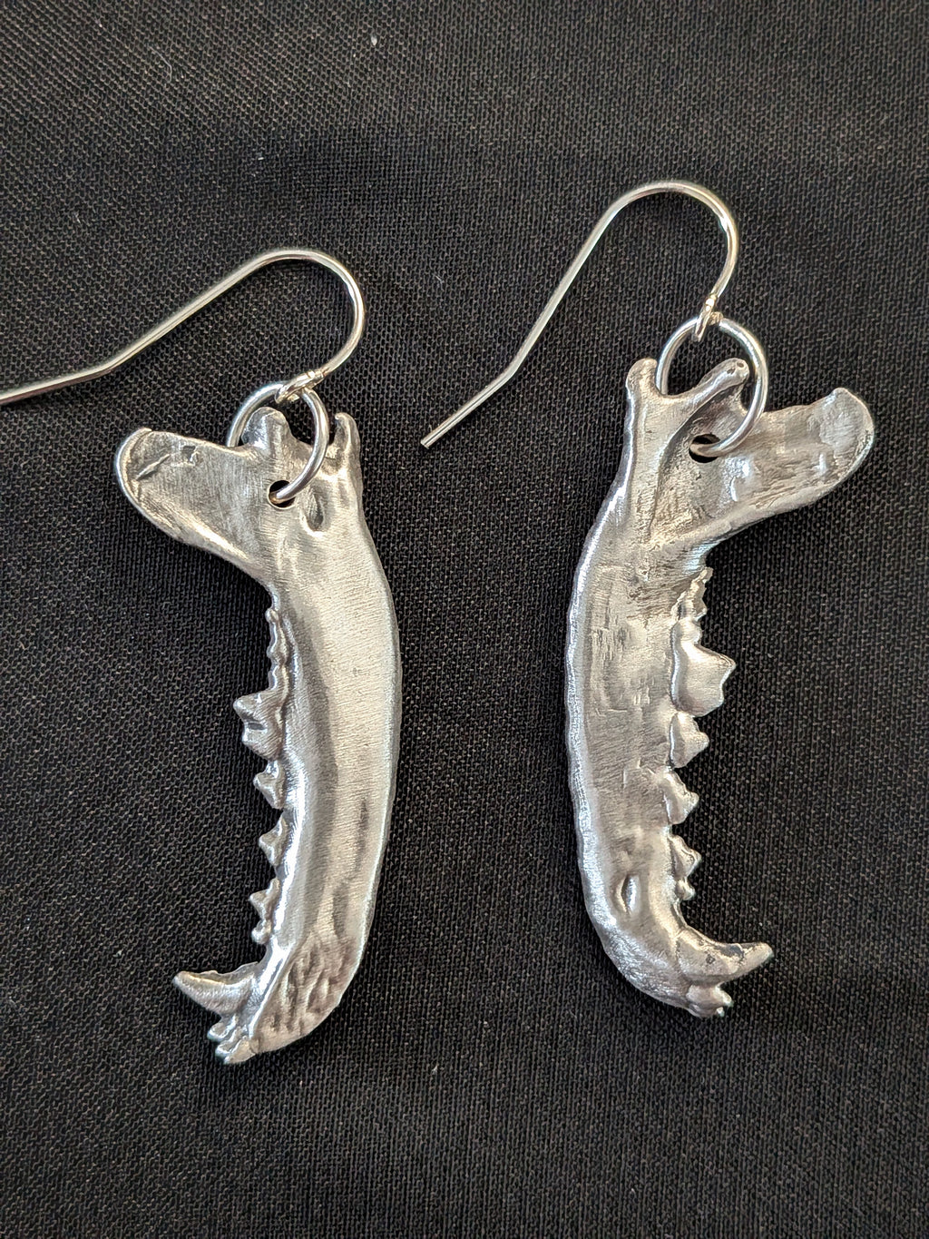 Coyote Jawbone Earrings