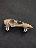 Crow Skull