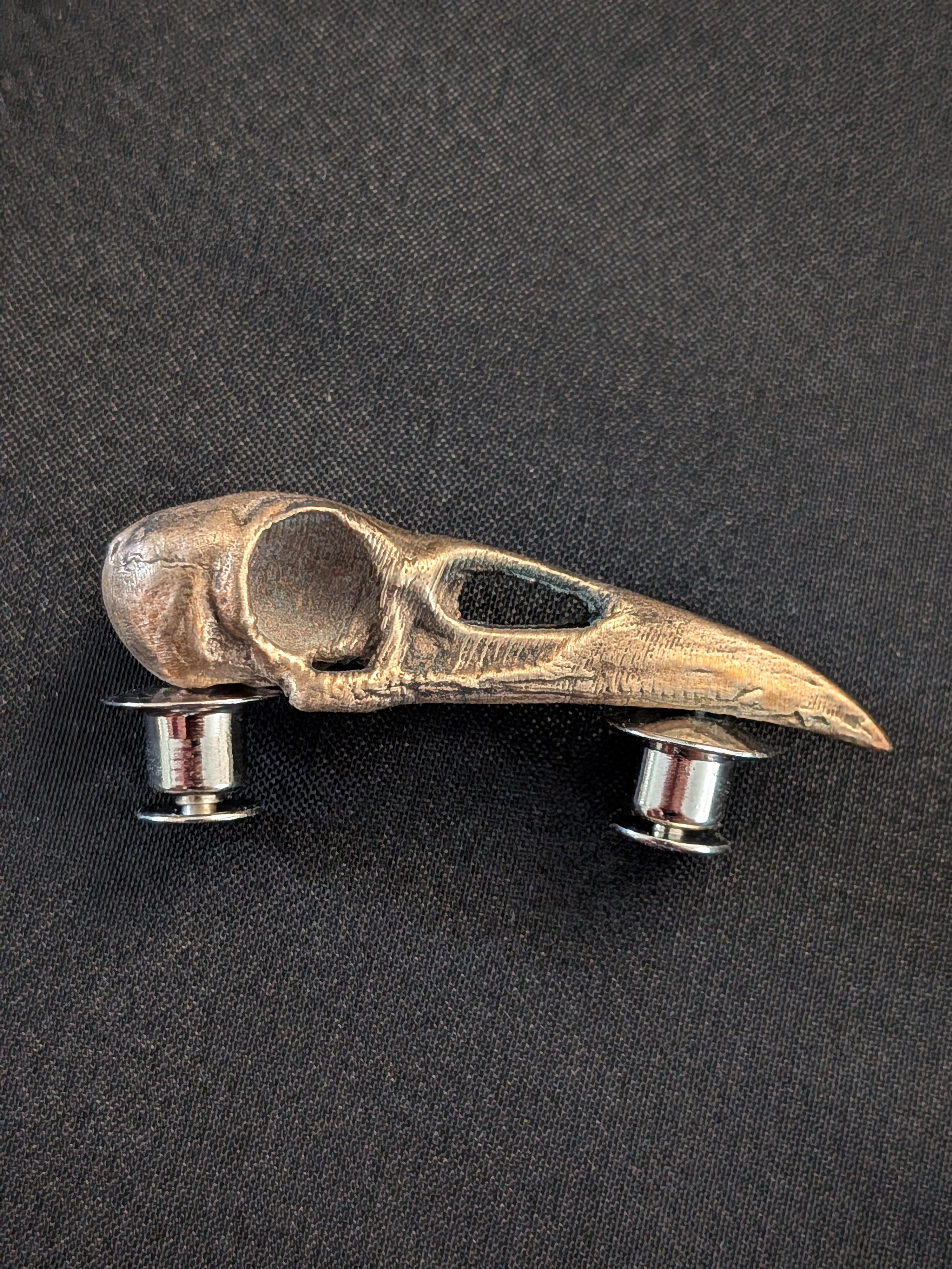 Crow Skull