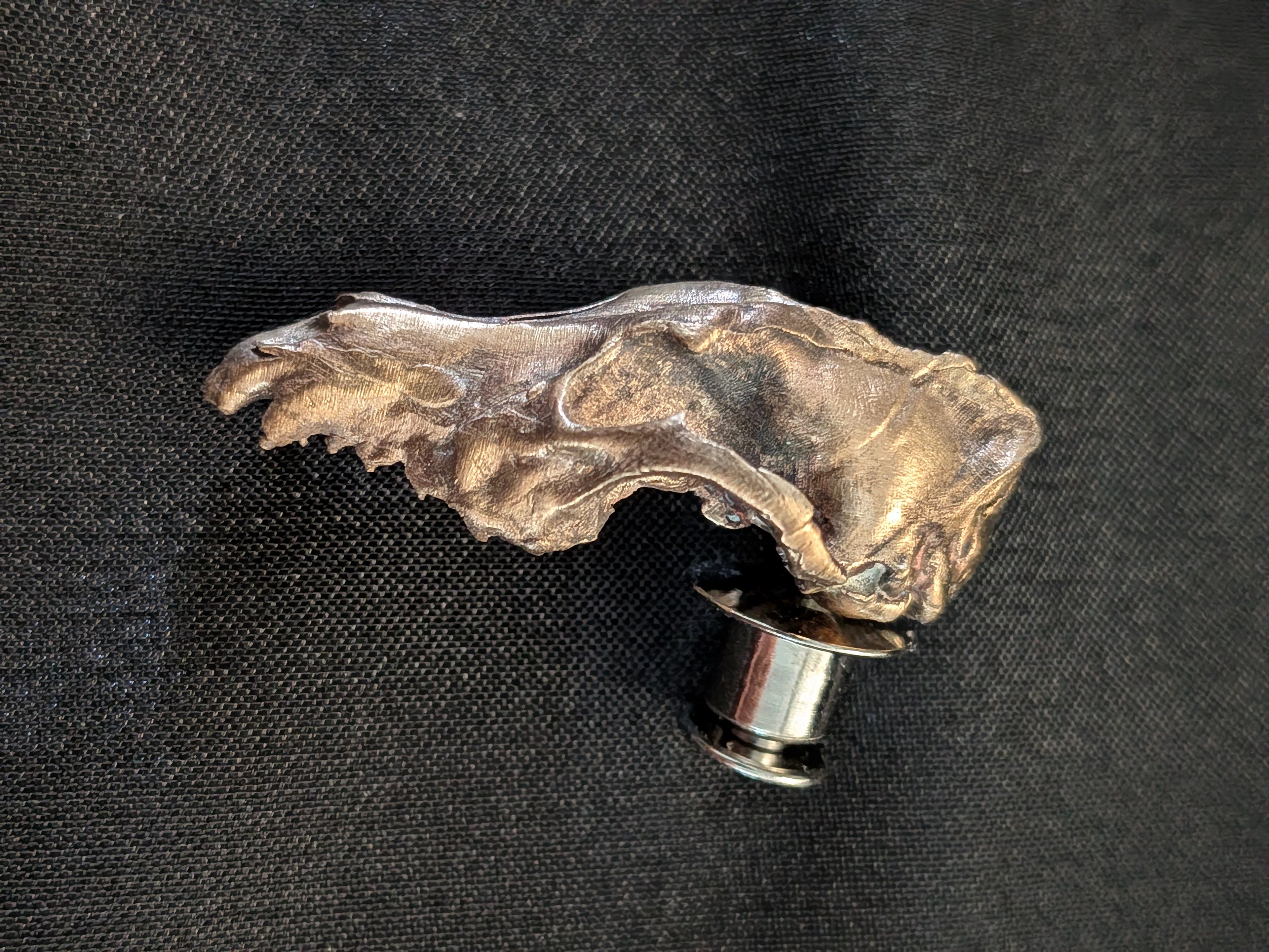 Bronze Coyote Skull