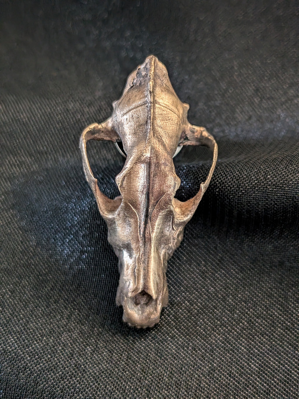 Bronze Coyote Skull
