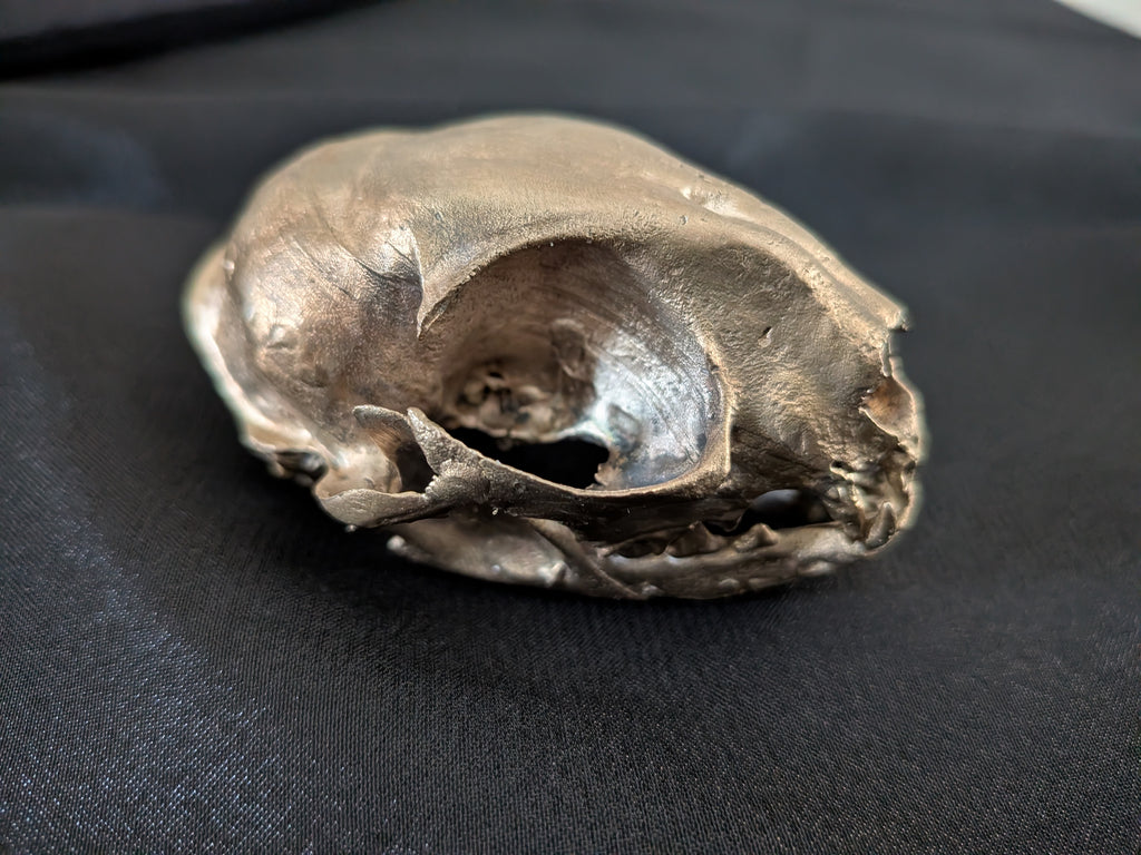 Solid Bronze Cat Skull