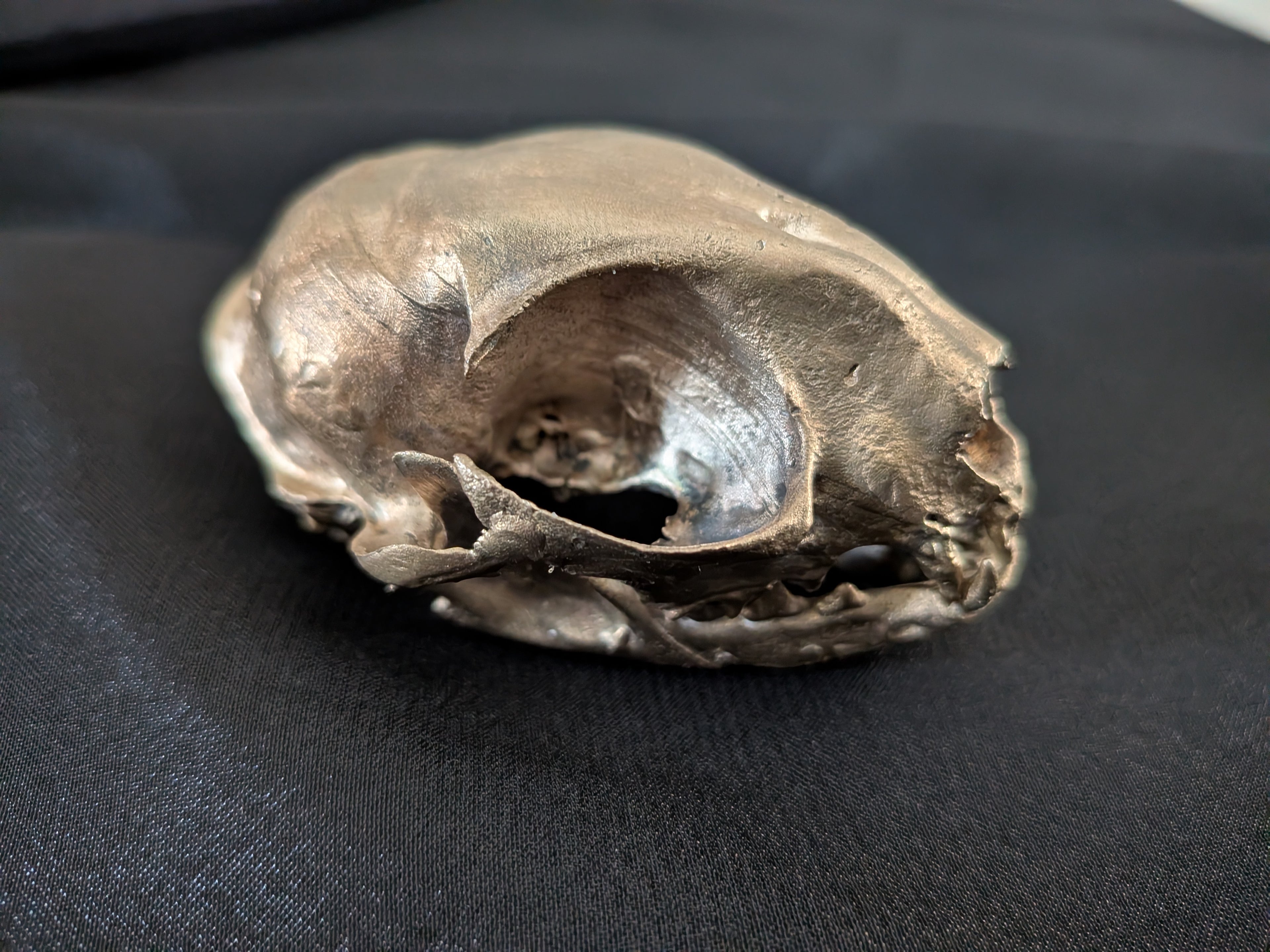 Solid Bronze Cat Skull