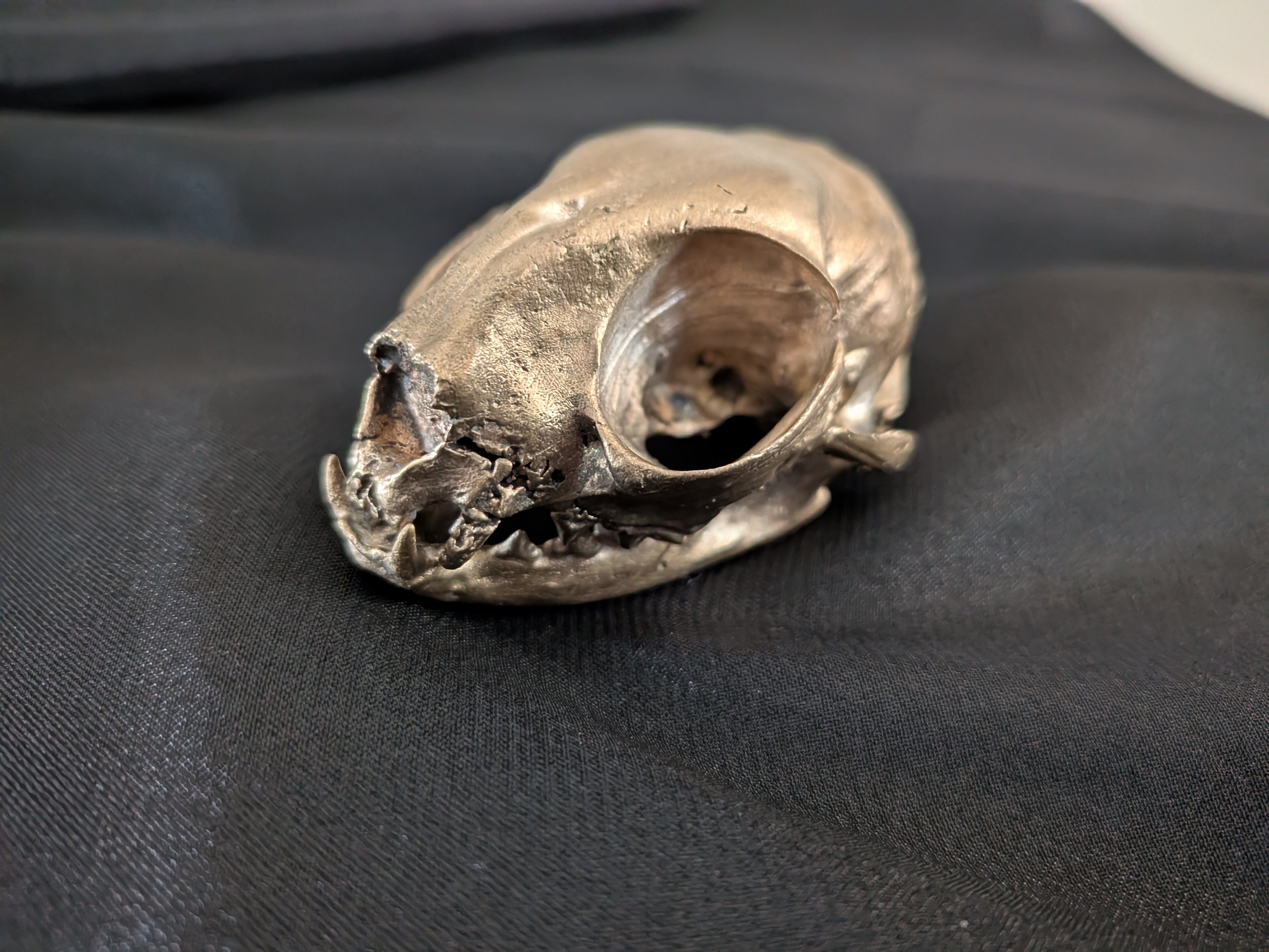 Solid Bronze Cat Skull
